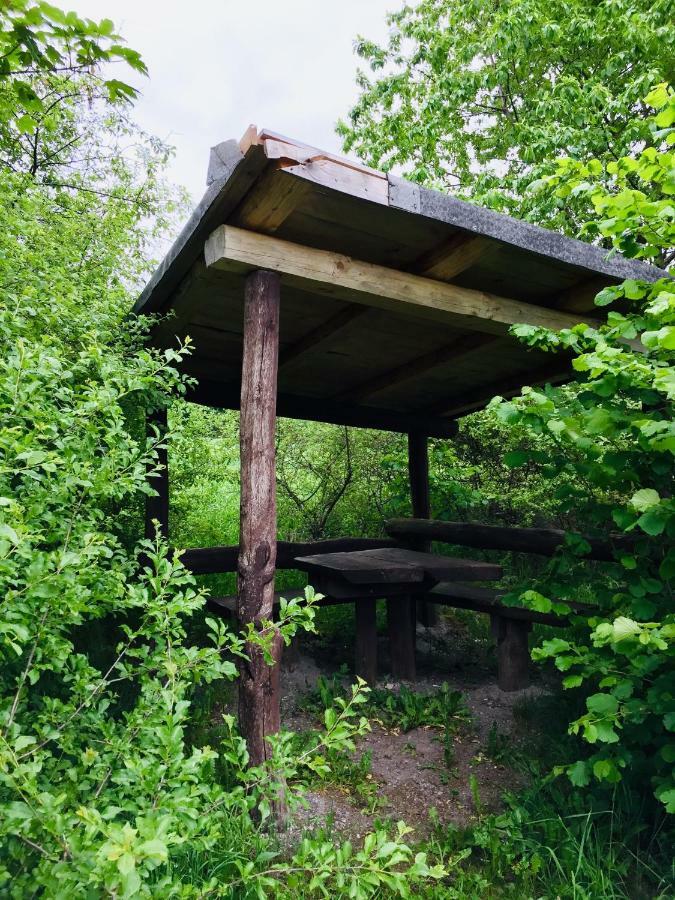 Gaestehaus Hohetanne1 Grossbreitenbach 외부 사진